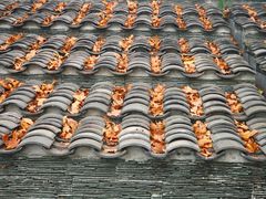 -傣妹火锅(狮子桥店)