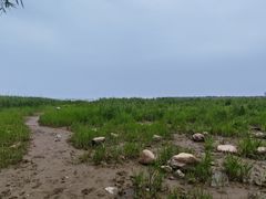 -吴淞炮台湾湿地森林公园烧烤区