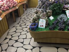 -百果园(奕淳公寓店)