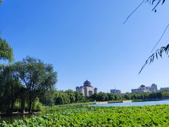-莲花池公园