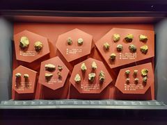 -广西壮族自治区博物馆