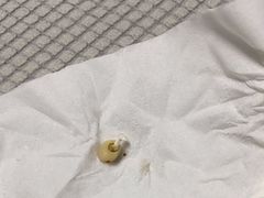 -德标艾诺口腔(敦化路店)