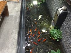 -川旺角川粤融合菜•海景餐厅(星海广场店)