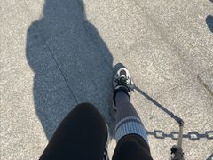 -火炉山森林公园
