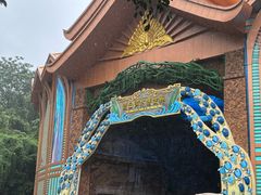 -西双版纳原始森林公园