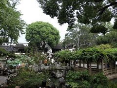 -荷塘月色湿地公园·向阳花洲