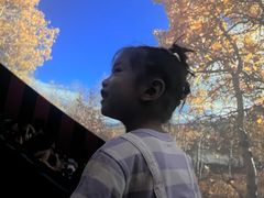 -苏州青少年科技馆