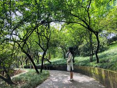 -南山植物园