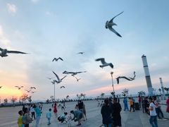 -东港音乐喷泉广场