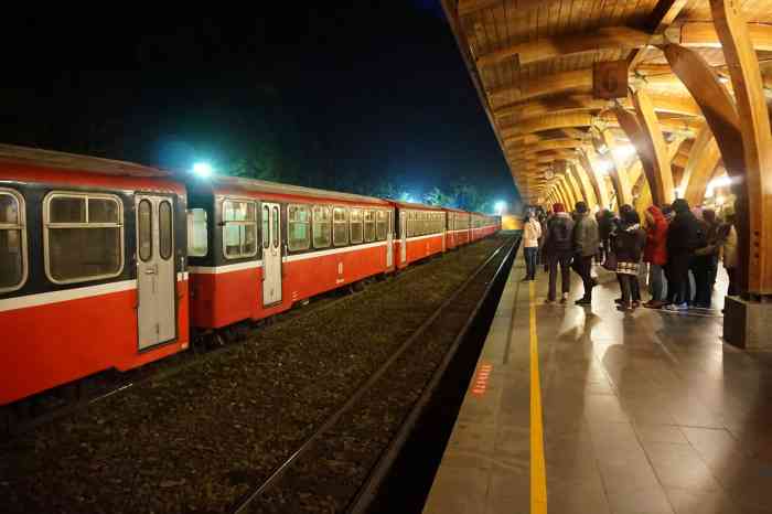 祝山车站-"从阿里山车站,乘坐小火车到了祝山站天气."-大众点评移动版
