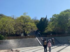-石老人观光园