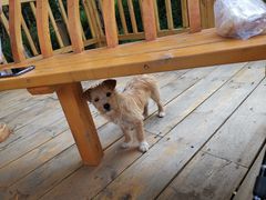 -白草畔自然风景区