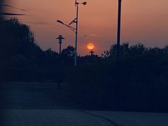 -大兴滨河森林公园