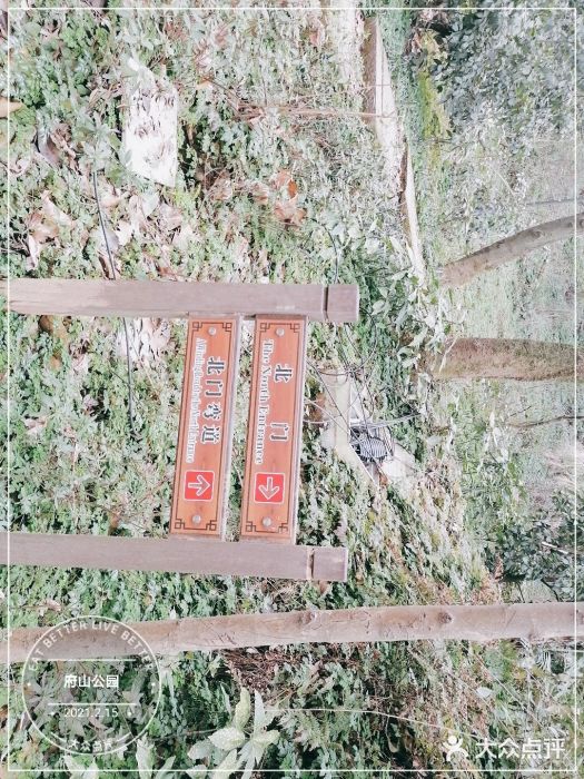 府山公园图片