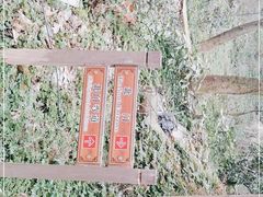 -府山公园