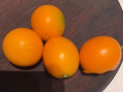 -桂满陇·海市蜃楼·黑金(国金店)