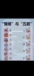-金美秀养生瘦身