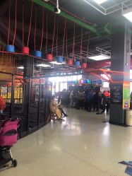 点击看大图 -嗨翻Hi-Fun竞技主题乐园·蹦床团建生日聚会(五棵松华熙店)
