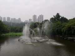 -龙头寺公园