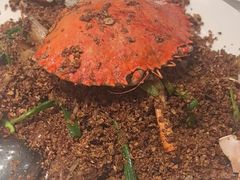 -喜记避风塘炒辣蟹(旗舰店)