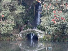 -龙井壹号·茶缘山景宴(龙井村店)