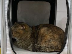 -萌兽医馆·眼科·异宠专科(三里屯店)
