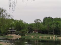 -北坞公园