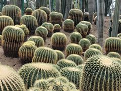 -南山植物园