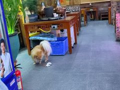 -老姐石板烧烤+铜炭火锅(总店)