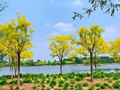 -东郊湿地公园