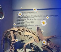 -恐龙探索乐园(磁器口店)