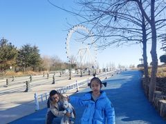 -日照海滨国家森林公园
