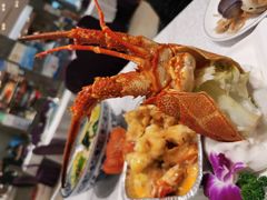 澳洲龙虾-启东海鲜人家(古美路店)