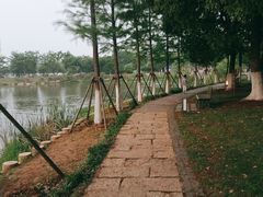 -东湖落雁景区