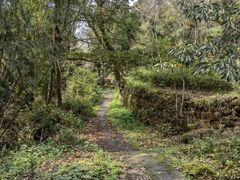 -唐崖土司城遗址