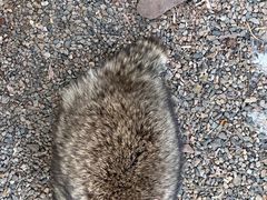 -秦皇岛野生动物园