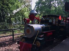 -上海共青森林公园