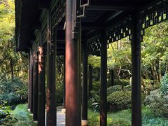 -杭州西子湖四季酒店-WL BISTRO西湖餐厅(灵隐路店)