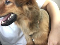 -宠福鑫动物医院·动物疾病诊疗中心(天通苑店)