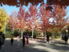 -辽宁大学(崇山校区)