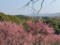 -无锡梅园公园