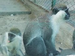 -新疆天山野生动物园