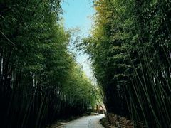-竹泉村旅游度假区