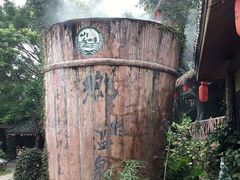 -观澜山水田园