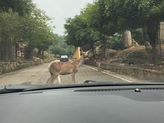 -乐和乐都主题乐园
