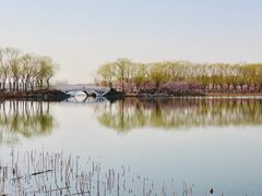 景点-大兴滨河森林公园