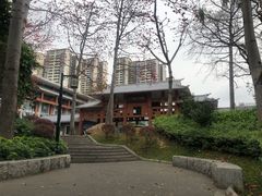 -南宁南湖公园
