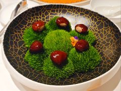 -鹿园 MOOSE(长宁店)
