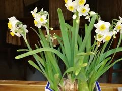 -观桥阁(锦溪店)