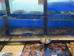 -添福来墨鱼饺子 · 海鲜东北菜(泡崖店)